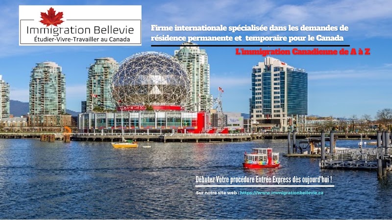 Couverture IMMIGRATION BELLEVIE