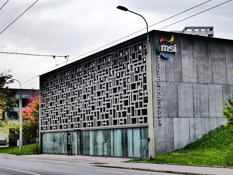 Maison du Sport International SA